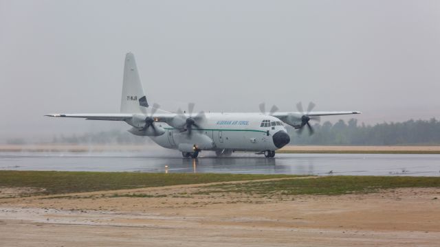 Lockheed C-130 Hercules (7T-WJB)