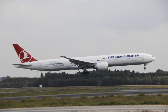 BOEING 777-300 (TC-JJO) - Landing at NRT Airport Runway 16L on 2011/10/10