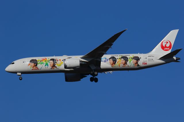 Boeing 787-9 Dreamliner (JA873J) - ARASHI ver