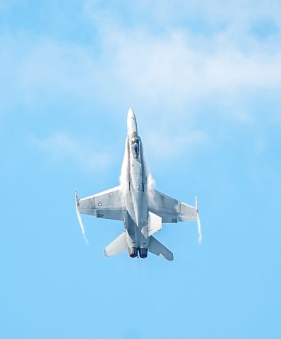 McDonnell Douglas FA-18 Hornet —