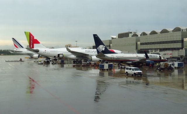 Airbus A330-200 (CS-TOF)