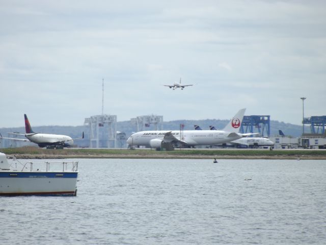 Boeing 787-8 (JA826J)