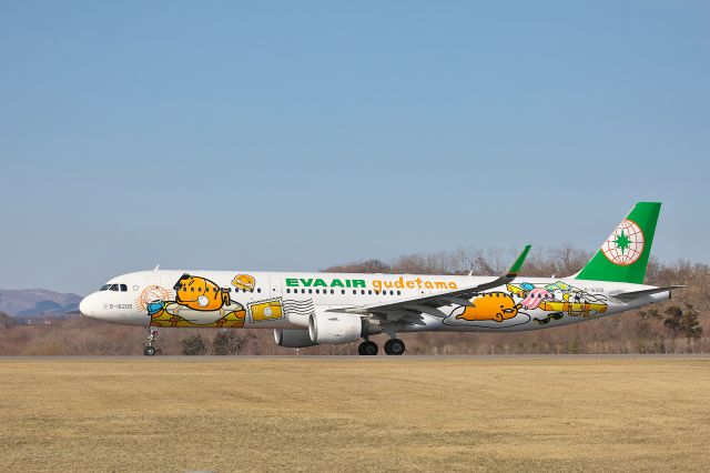 Airbus A321 (B-16205) - hakodate airport hokkaido japan 