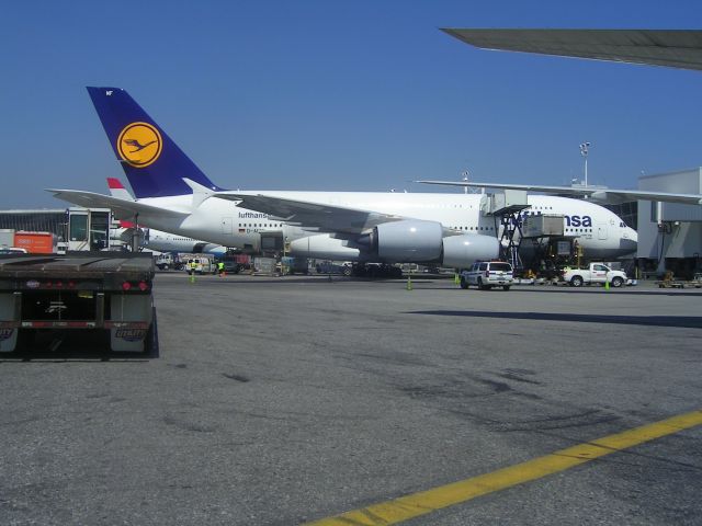 Airbus A380-800 (D-AIMF)