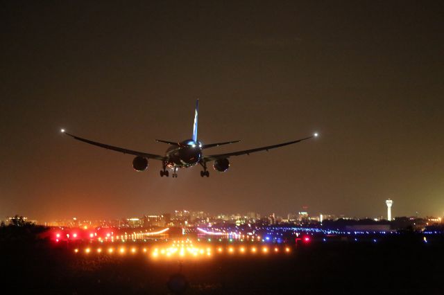 Boeing 787-8 (JA825A) - 02 October 2015: HND-HKD. ANA Flight 557.