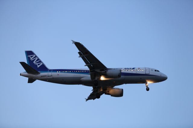 Airbus A320 (JA8300) - 09 April 2015:HND-HKD.