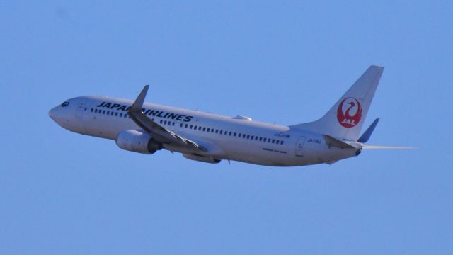 Boeing 737-800 (JA319J)