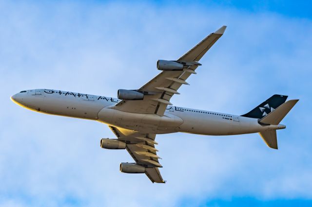 Airbus A340-300 (D-AIGW) - Lufthansa A340-300 in Star Alliance special livery taking off from DFW on 12/28/22. Taken with a Canon R7 and Tamron 70-200 G2 lens.
