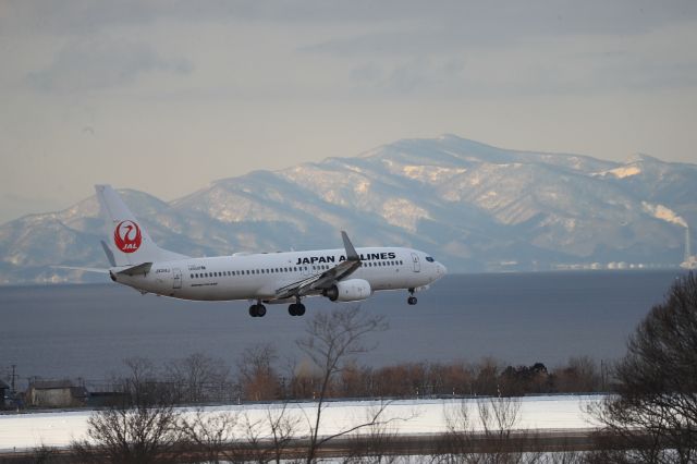 Boeing 737-800 (JA314J) - January 13th 2019:HND-HKD.