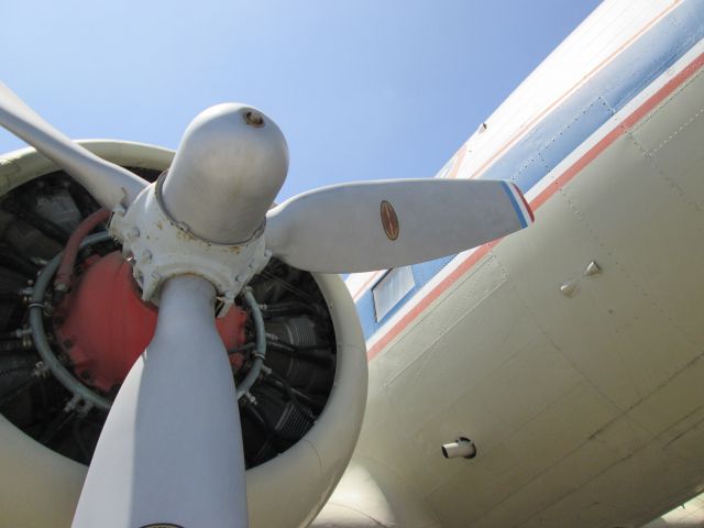 Douglas DC-3 — - DC3 on display at the Flight Path Learning Center & Museum at LAX (Imperial Highway)