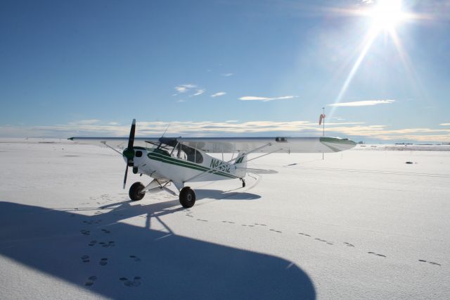 Piper L-21 Super Cub (N4451Z)