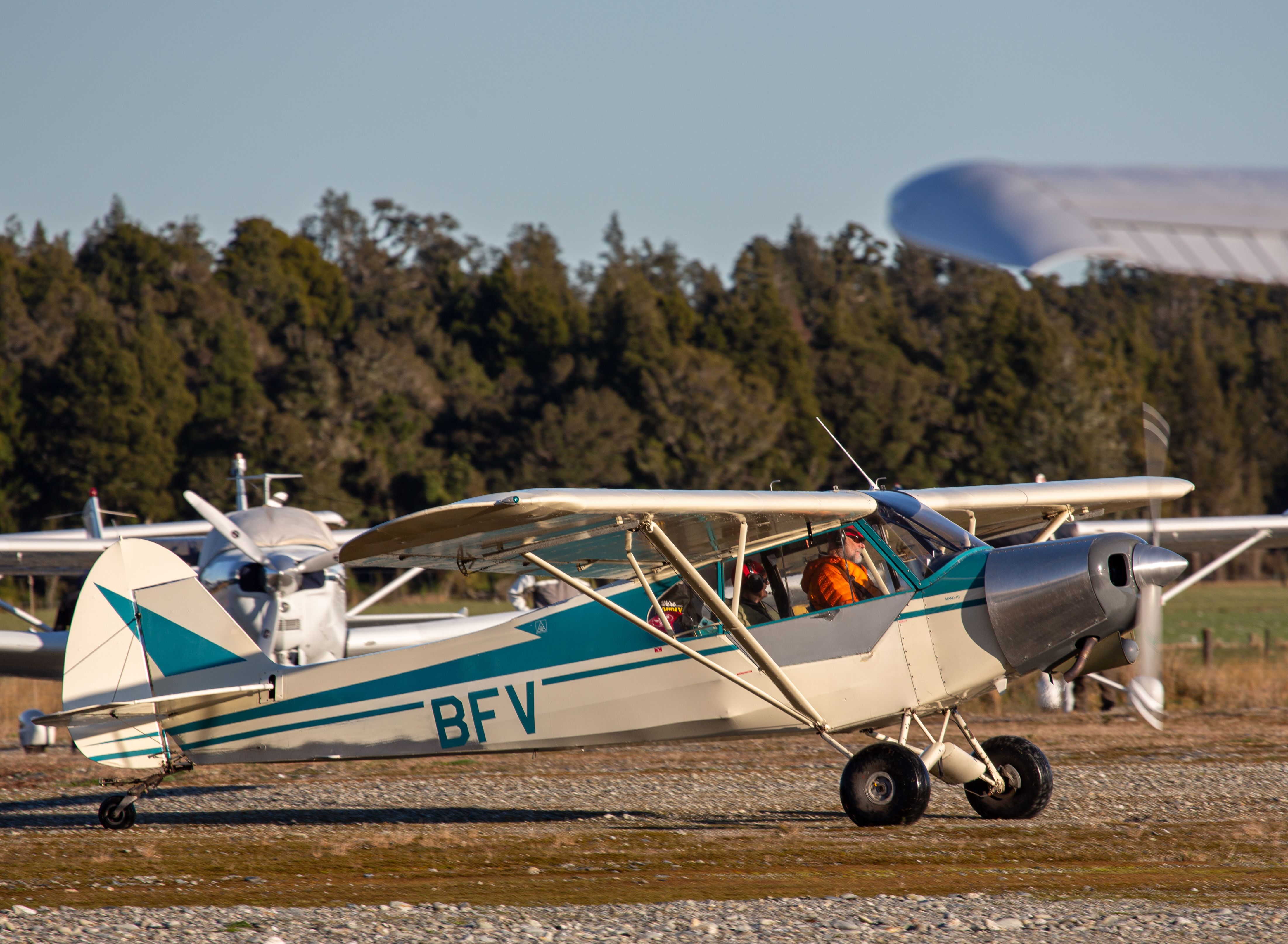 Piper L-21 Super Cub (ZK-BFV)