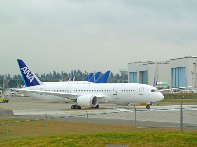 Boeing 787-8 (N1006F) - 1-29-2011 ANA / All Nippon Airways  (testing) Boeing 787-800 N1006F taxing for take-off at Paine Field, Everett, Washington.  Notice tails of 3 747-400 LCF Dreamlifters just beyond the 787  ||||  photo taken at Paine Field (Snohomish County Airport) fence line on the property of the Future of Flight Center -- by Bruce McKinnon