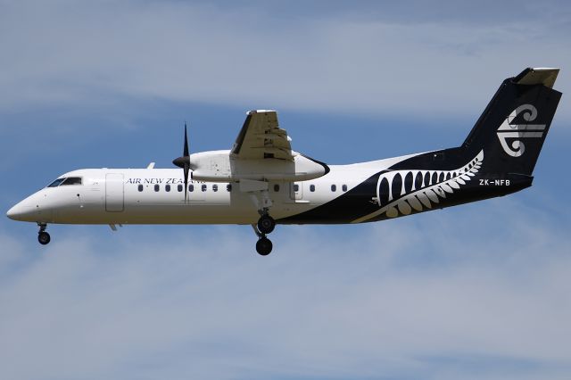 de Havilland Dash 8-300 (ZK-NFB)