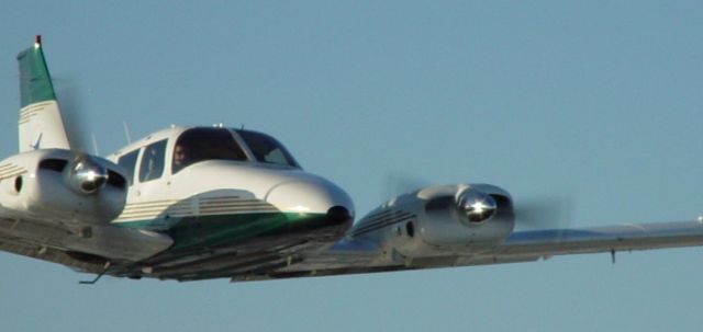 Piper Seneca (C-GNAS)