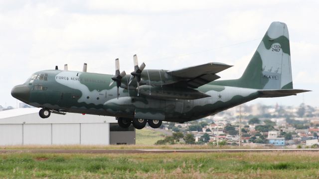 Lockheed C-130 Hercules (FAB2467)