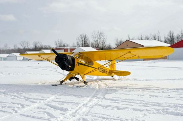 Piper NE Cub (N98815) - flyin feb 2016