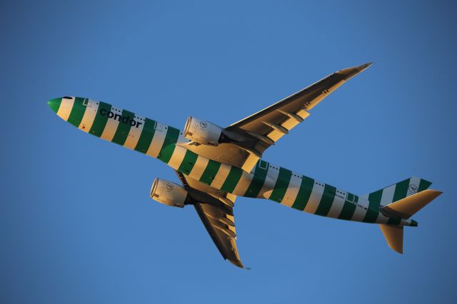 Airbus A330-900 (D-ANRI)