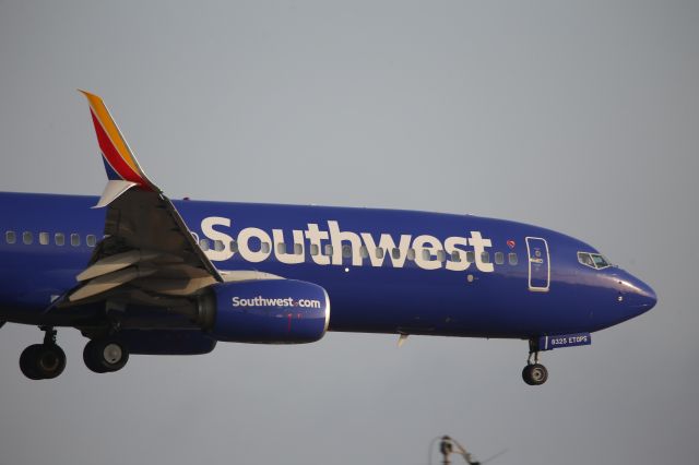 Boeing 737-800 (N8325D)