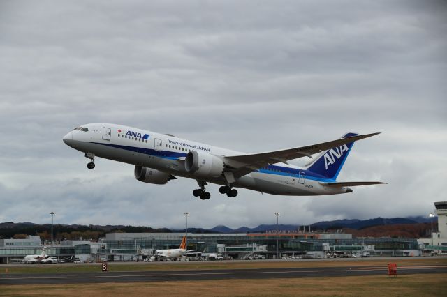 Boeing 787-8 (JA817A) - November 17, 2024:HKD-HND.