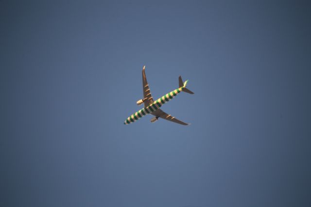 Airbus A330-900 (D-ANRI)