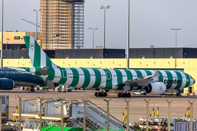 Airbus A330-900 (D-ANRA)