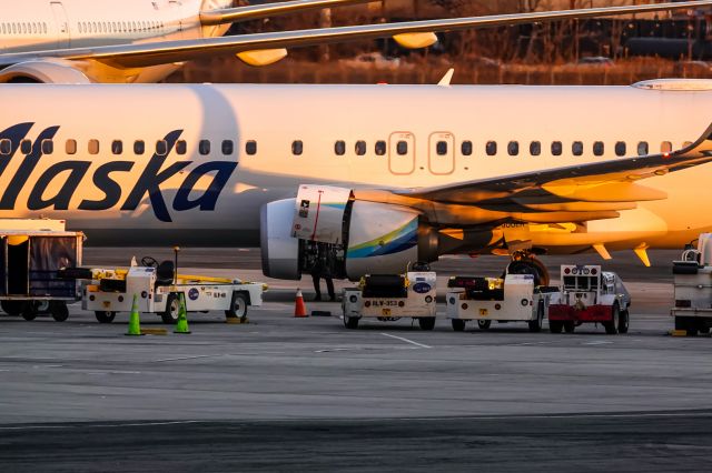 Boeing 737-900 — - An Alaska B739 getting it's engine serviced at the gate.