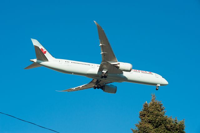 Boeing 787-9 Dreamliner (C-FGDZ) - LLEGANDO A DESTINO. 