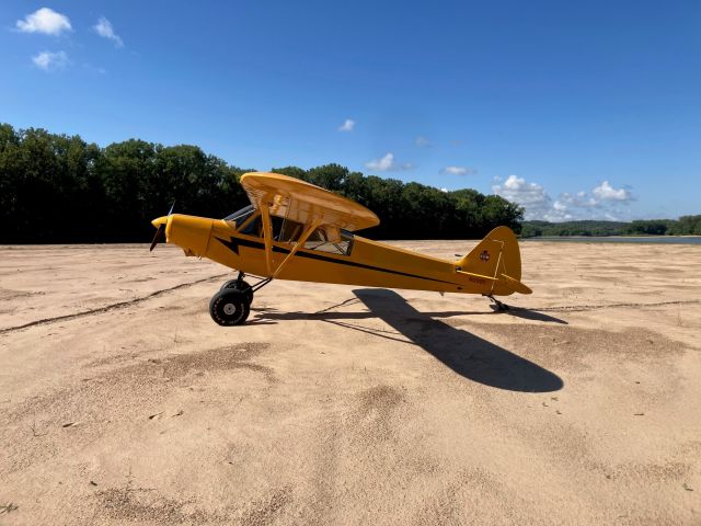 Piper L-21 Super Cub (N300T)