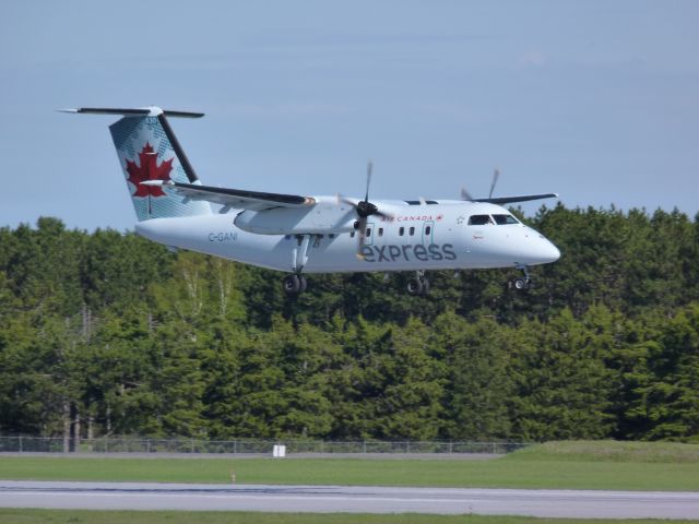 de Havilland Dash 8-100 (C-GANI)