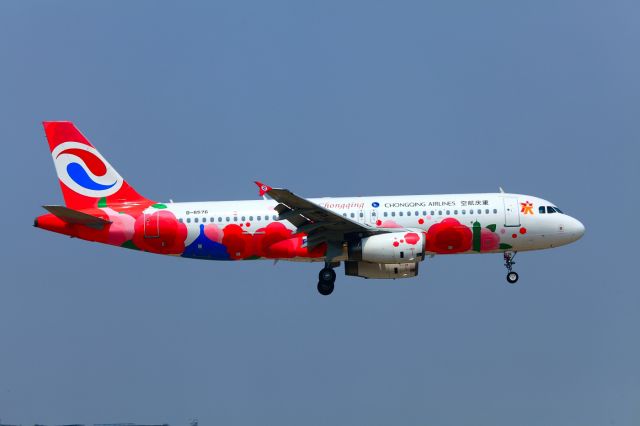 Airbus A320 (B-6576)