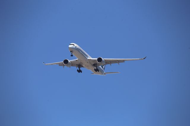 Airbus A350-1000 (B-LXM)