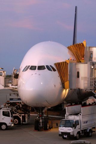 Airbus A380-800 (9V-SKI)
