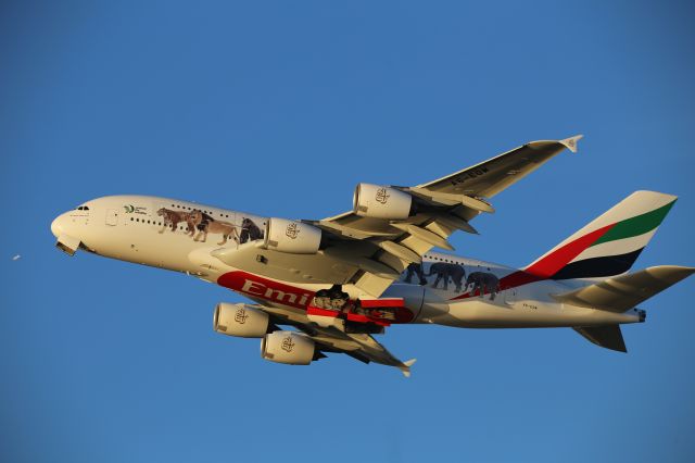 Airbus A380-800 (A6-EOM)