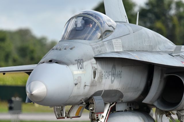 McDonnell Douglas FA-18 Hornet (18-8787)