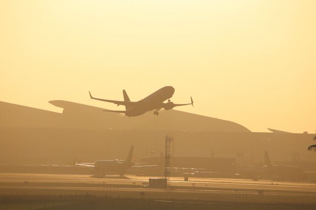 Boeing 737-800 (N8315C)