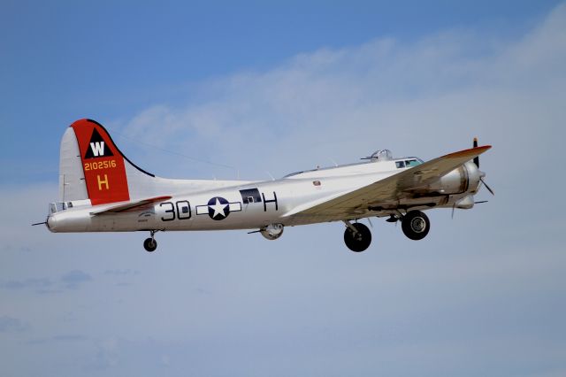 Boeing B-17 Flying Fortress (N5017N)