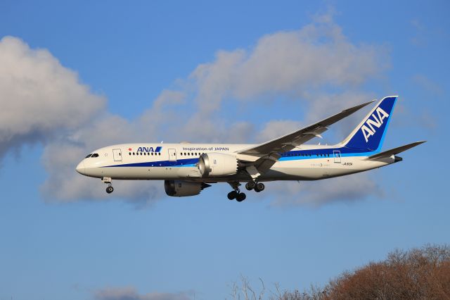 Boeing 787-8 (JA810A) - December 11, 2022:HND-HKD.