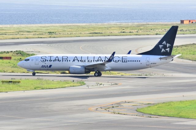 Boeing 737-800 (JA51AN)