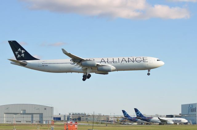 Airbus A340-300 (D-AIGW)