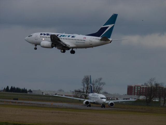 BOEING 737-600 (C-GWSB)