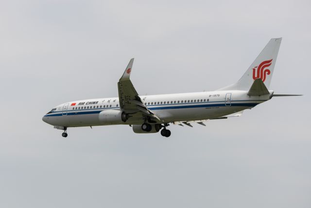 Boeing 737-800 (B-1975)