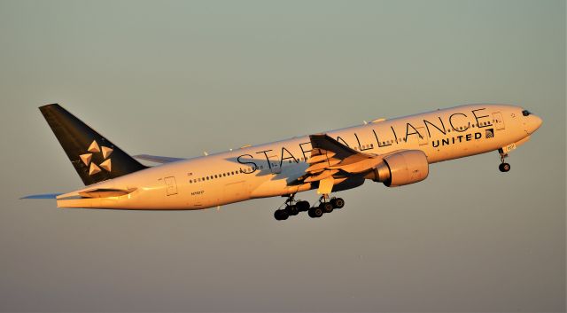 Boeing 777-200 (N78017) - Star Alliance Livery