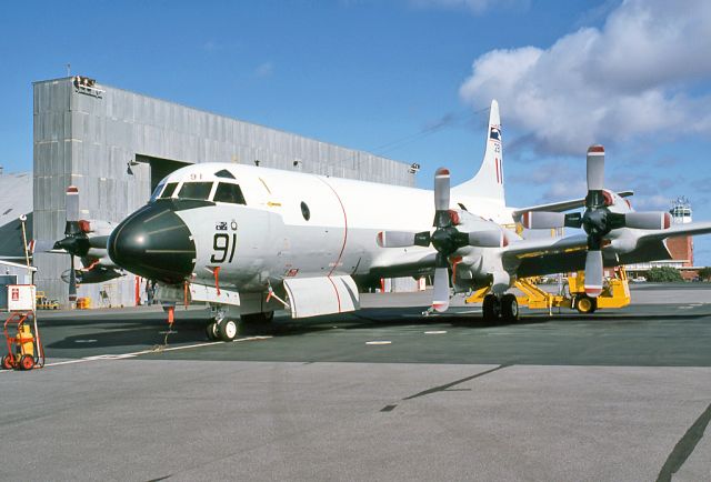 A9291 — - AUSTRALIA - AIR FORCE - LOCKHEED P-3B ORION - REG A9-291 / 91 (CN 185B-5401) - EDINBURGH RAAF BASE ADELAIDE SA. AUSTRALIA - YPED (19/4/1977)