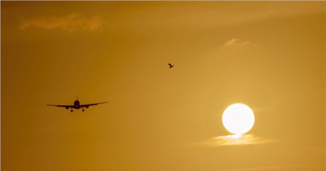 Airbus A330-200 (F-GZCD) - All about this afternoon sunset. Airfrance Airbus A330-200 F-GZCD arriving to St Maarten during sunset.br /12/03/2022