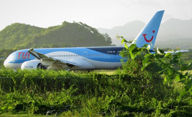 Boeing 787-8 (G-TUII)