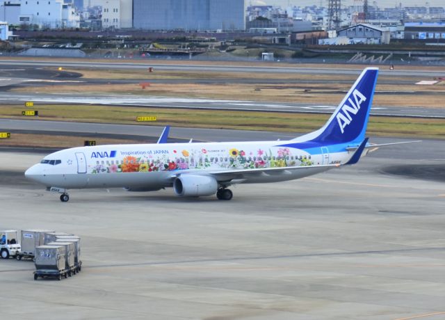 Boeing 737-800 (JA85AN)