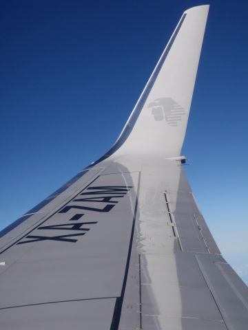 Boeing 737-700 (XA-ZAM) - Clear Blue skies enroute from MMMX (Mexico City) to MMMY (Monterrey)