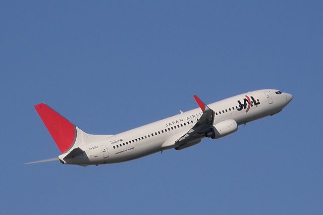 Boeing 737-800 (JA301J)