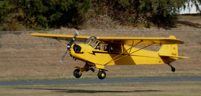 Piper NE Cub (N6114H) - About to touch down is this 1946 Piper J3C-65 Cub in the Autumn of 2024.